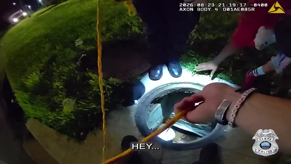 Dog Stuck in Drain Rescued with Cheese