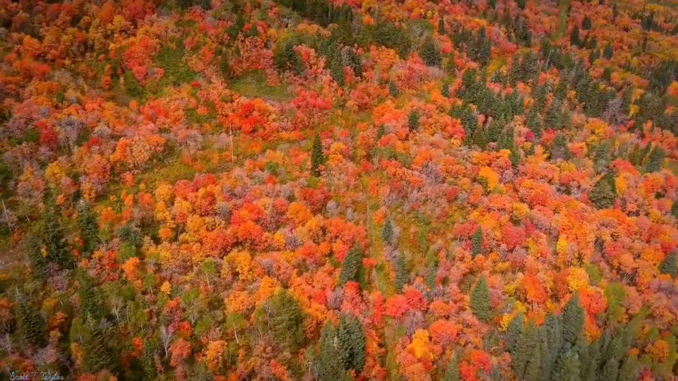Beautiful Vibrant Autumn Colors in Utah WeatherBug