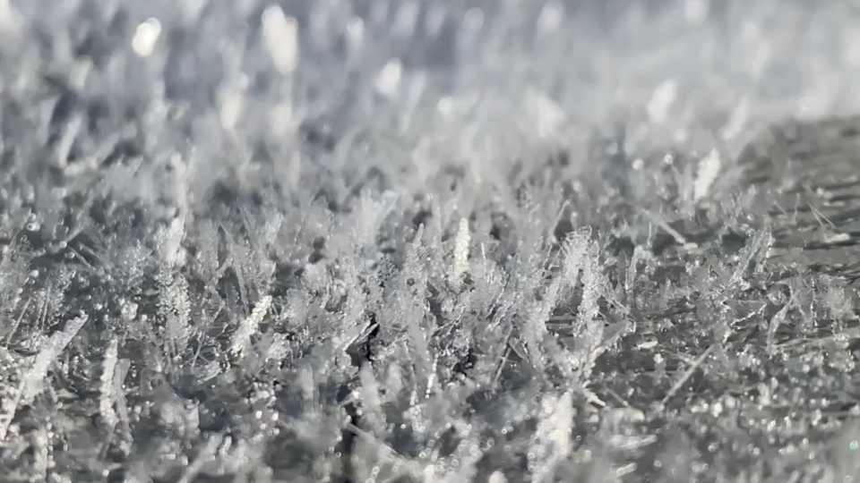 Morning Hoar Frost in Southern Missouri WeatherBug