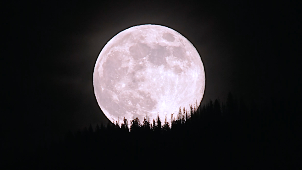 Full Beaver Moon Brightens Colorado Night Sky | WeatherBug