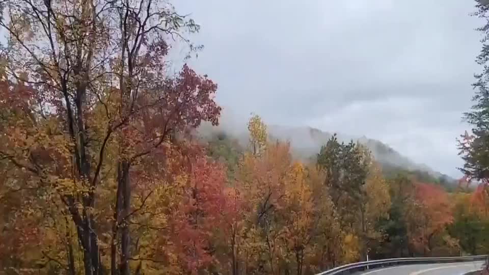 Fall Foliage Colors East Tennessee Mountains | WeatherBug