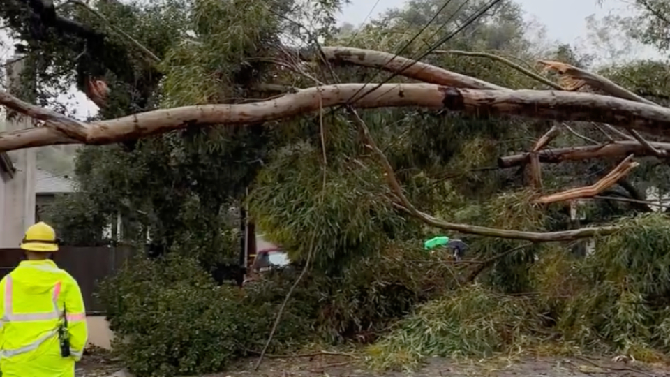 Wind Topples Power Lines and Trees in California | WeatherBug
