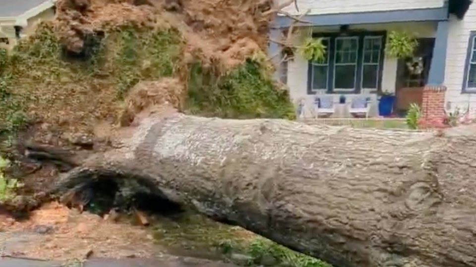 Widespread Storm Damage in North Carolina WeatherBug
